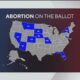 Facing South Florida: Florida's abortion amendment