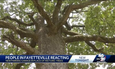 Fayetteville arborist discusses new high school parking deck