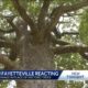 Fayetteville arborist discusses new high school parking deck