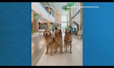 New Children's Atlanta emergency department set to open — and the therapy dogs are ready for it