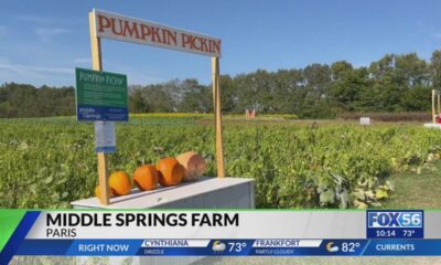 Middle Springs Farm in Paris looking to use a good time to reinforce American unity