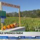 Middle Springs Farm in Paris looking to use a good time to reinforce American unity