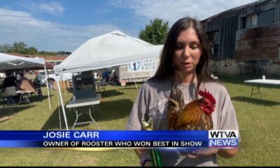 2nd Farmers Market Chicken Show held in Pontotoc