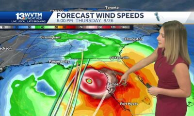 Helene forecast to develop in the Gulf of Mexico with impacts likely along the Gulf coast includi...