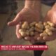 Baldwin County peanut farmers say a special ingredient has boosted the crop this year