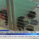 Pearl River County shelter experiencing dog overcrowding crisis