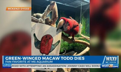 Aquarium Green Winged Macaw Dies