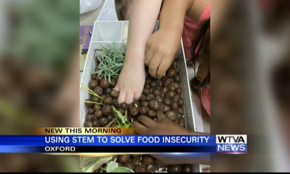 Ole Miss professor solves food insecurity with STEM