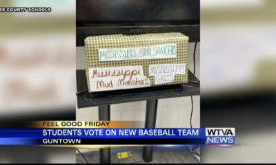 Guntown students vote on new baseball team