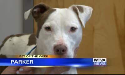 Pet of the Week: Parker