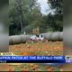 Tupelo Buffalo Park preparing for annual pumpkin patch