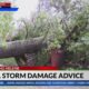 AAA officials offer storm damage advice