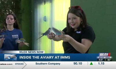 INSIDE LOOK: Meteorologist Taylor Graham visits the aviary at IMMS