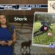 Dog Walk Forecast for Sept. 30 - Stark