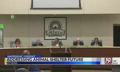 Addressing Animal Shelter Future | September 30, 2024 | News 19 at 4 p.m.