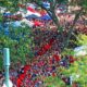 Five Ole Miss Tailgating and Game Day Tips