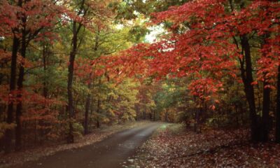 What Reminds You Of Fall in Mississippi? 