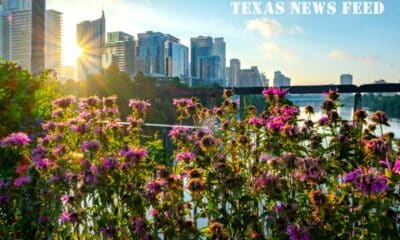 Allred takes down anti-fracking group endorsement, voting record conflicts with claims | Texas