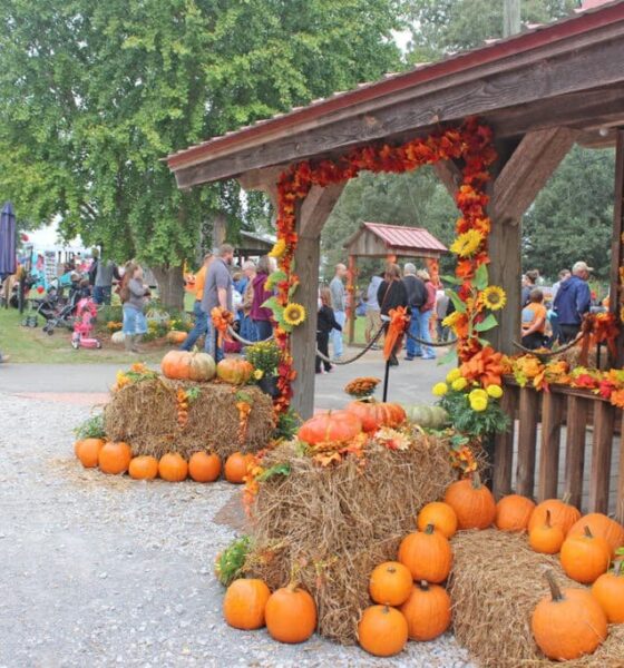 Mississippi’s Top Three Fall Festivals