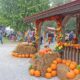 Mississippi’s Top Three Fall Festivals