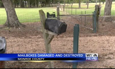 At least 16 mailboxes vandalized in Monroe County