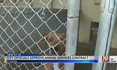 City Officials Approve Animal Services Contract | September 30, 2024 | News 19 at 10 p.m.