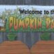 Lazy Acres Farm Fun is back beginning with their annual Pumpkin Patch