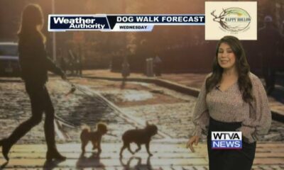 Dog Walk Forecast for Oct. 2 – Chip