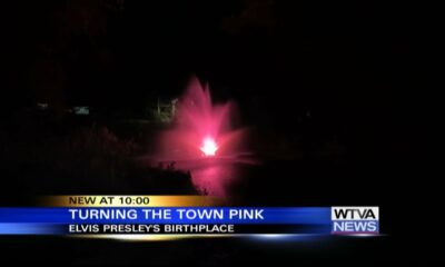 Elvis Presley Birthplace marks Breast Cancer Awareness Month