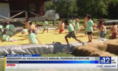 Mississippi Agriculture and Forestry Museum hosts 2024 Pumpkin Adventure