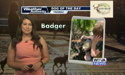 Dog Walk Forecast for Oct. 3rd - Badger