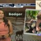 Dog Walk Forecast for Oct. 3rd – Badger