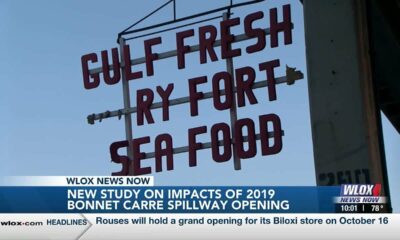 Study shows more than  million lost from 2019 Bonnet Carre Spillway opening