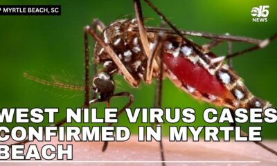 West Nile virus cases confirmed in Myrtle Beach