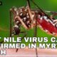 West Nile virus cases confirmed in Myrtle Beach