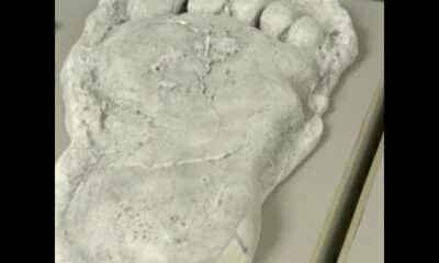 Arkansas bigfoot sightings go back more than a century