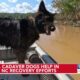 Nash deputy and cadaver dog perform grim, yet necessary job in finding bodies along Lake James