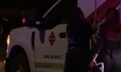 SAPD shoots pit bull after dog attacks owner, police say