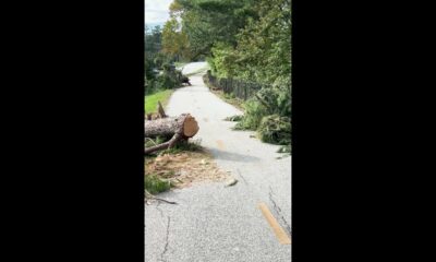 Swamp Rabbit Trail cleanup