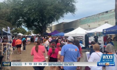 Community comes out for Zonta Arts and Crafts Festival in Downtown Pascagoula