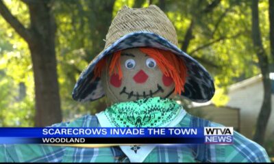 More than 85 scarecrows rise up in Woodland