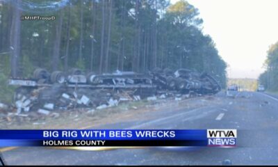 Truck carrying honeybees rolls over in Holmes County