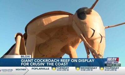 Cockroach reef on display along Highway 90 for Cruisin’ the Coast