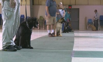 The East Central Mississippi Kennel Club Offers Dog Obedience Classes