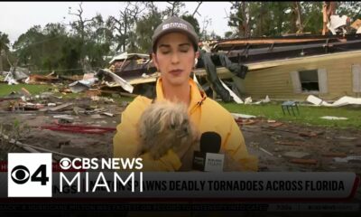 Dog found in rubble at Florida mobile community after Hurricane Milton swept through