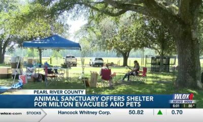 'We had to go'; Milton evacuees and pets seek shelter in Pearl River County