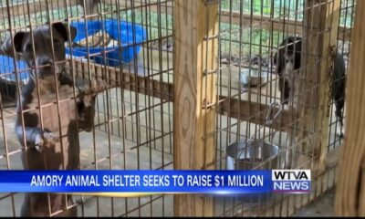 Amory Humane Society desperately trying to reach monetary goal by end of year