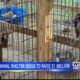 Amory Humane Society desperately trying to reach monetary goal by end of year