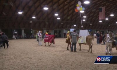 Exhibitors and cow duos wow judges in Pretty Cow Contest