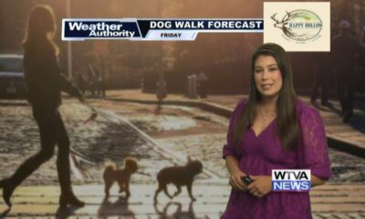 Dog Walk Forecast for Oct. 11 – Penny Lane